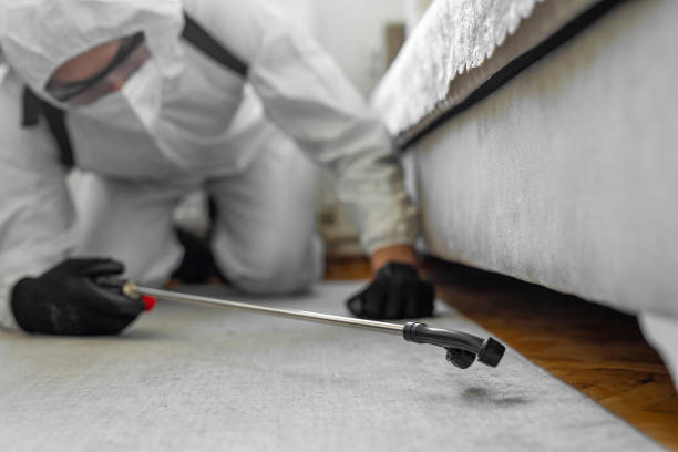 Professional Cockroach Control technician working in Houston, AK