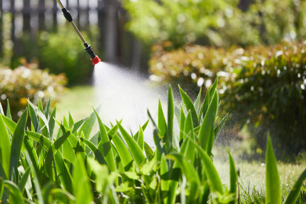 24/7 Emergency Cockroach Control experts in Houston, AK