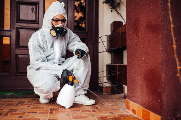 Reliable Cockroach Control contractor in Houston, AK by Nex Pest Control