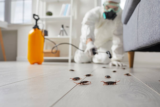 Affordable Cockroach Control solutions in Houston, AK