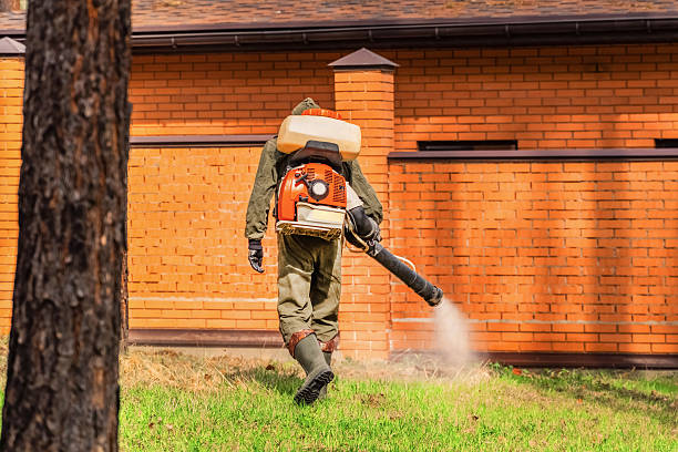 Top rated local Cockroach Control specialists in Houston, AK